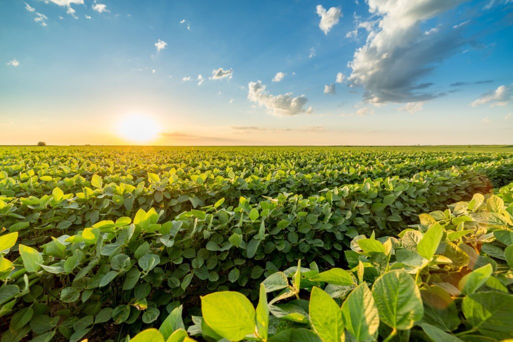 farmer image