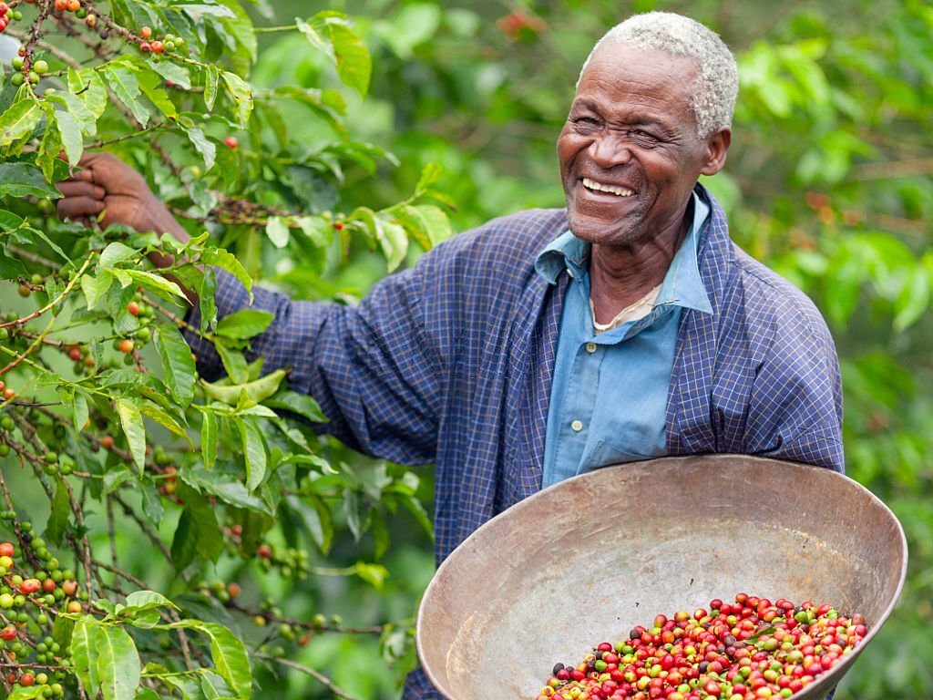 farmer image